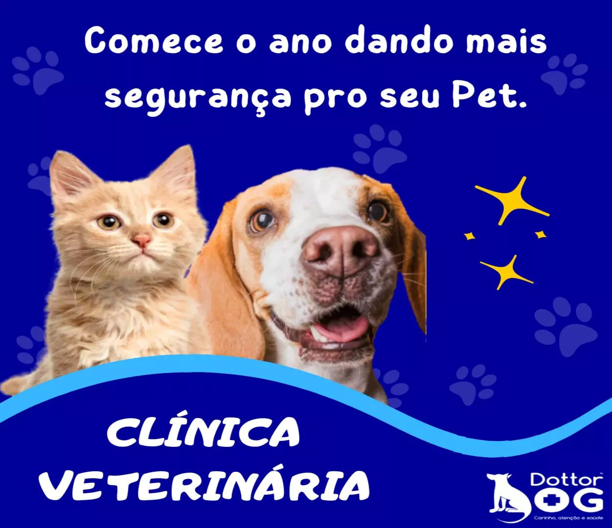 IMPORTÂNCIA DA VACINAÇÃO EM CÃES E GATOS